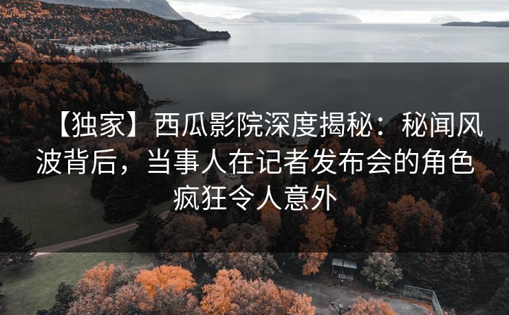 【独家】西瓜影院深度揭秘：秘闻风波背后，当事人在记者发布会的角色疯狂令人意外