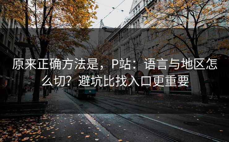 原来正确方法是,P站:语言与地区怎么切?避坑比找入口更重要 原来正确方法是,P站:语言与地区怎么切?避坑比找入口更重要